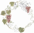 Red grapes wreath clipart, harvest clip art. Watercolor hand painted grapes frame. Italian vinery concept design. French wine