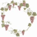 Red grapes wreath clipart, harvest clip art. Watercolor hand painted grapes frame. Italian vinery concept design. French wine
