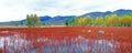 Red grassland panorama
