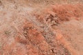 Red gravel dirt road. Textures of ground with stones. Dry soil with crack for background. Royalty Free Stock Photo