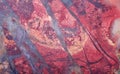 Red and gray jasper texture macro