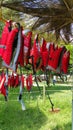 Red and gray life jackets