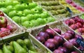 Red and green apple fruits Royalty Free Stock Photo