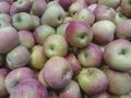 Red and green apple fruits in a supermarket Royalty Free Stock Photo