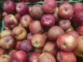 Red and green apple fruits in a supermarket Royalty Free Stock Photo