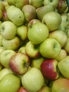 Red and green apple fruits in a supermarket Royalty Free Stock Photo