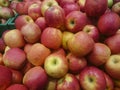 Red and green apple fruits in a supermarket Royalty Free Stock Photo