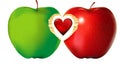 Red and green apple heart Royalty Free Stock Photo