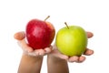 Red and green apple held in female hands