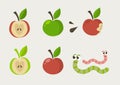 Red and green apple set with warms. Fruit design elements. Whole apples, slices, leaves and apple seeds vector design