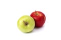 Red and green apple on a white background. Green and red apples juicy on an isolated background. A group of two apples on a white Royalty Free Stock Photo