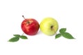 Red and green apple on a white background. Green and red apples juicy on an isolated background.