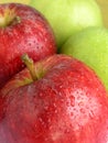 Red and green apples Royalty Free Stock Photo