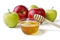 Red and green apples and a bowl of honey Royalty Free Stock Photo