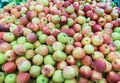 Red and green apples at the farmers market. Royalty Free Stock Photo