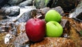 Red green apples in natural waterfall and stone blackground