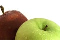 Red and green apples with water drops close-up shot Royalty Free Stock Photo