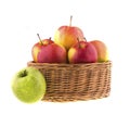 Red and green apples in a wicker baskets Royalty Free Stock Photo