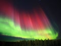 Red and green aurora above forest in northern Sweden