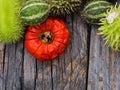 Red and green autumn fruits Royalty Free Stock Photo