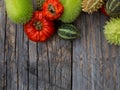 Red  and green autumn fruits decoration Royalty Free Stock Photo