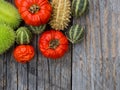 Red  and green autumn fruits decoration Royalty Free Stock Photo