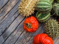 Red  and green autumn fruits decoration Royalty Free Stock Photo