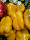 Red and Green peppers at farmers market Royalty Free Stock Photo