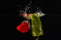 Red and green bellpepper falling into the water Royalty Free Stock Photo