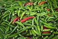 Red and green Bird`s Eye Chilli stack together for several seeds Royalty Free Stock Photo