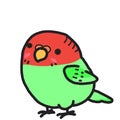 Red green Birds Cartoons