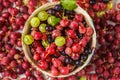 Red, green and black gooseberries in a bowl on gray background, top view Royalty Free Stock Photo