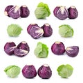 Red and green cabbage isolated on white background Royalty Free Stock Photo