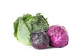 Red and green cabbage isolated on white Royalty Free Stock Photo