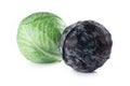 Red and green cabbage on white background Royalty Free Stock Photo