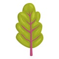 Red green chard icon cartoon vector. Swiss plant