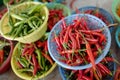Red and green chile pepper Royalty Free Stock Photo