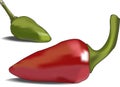 Red green chili Royalty Free Stock Photo