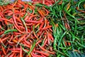 Red and green chili pepper Royalty Free Stock Photo