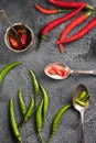 Red and green chili pepper Royalty Free Stock Photo