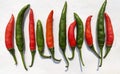 Red and green chilies flat on isolated white background