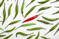 Red and green chilli peppers on a white background. Royalty Free Stock Photo