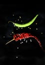A red and green chilli with chilli seeds in a black background.. Royalty Free Stock Photo