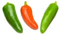 Red , green chillies