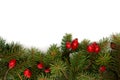 Red-green christmas arragement Royalty Free Stock Photo