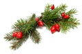 Red-green christmas arragement Royalty Free Stock Photo