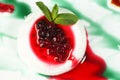 Red green desert with currants delicious Royalty Free Stock Photo