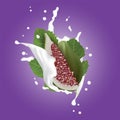 Red and Green Fig. Realistic 3d Figs With Leaves Splashing Milk.
