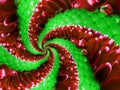 Red green flower spiral abstract fractal effect pattern background. Floral spiral abstract pattern fractal. Incredible flowers Royalty Free Stock Photo