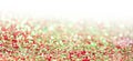 Red and green glitter shine dots confetti. Abstract light blur blink sparkle defocus backgound Royalty Free Stock Photo